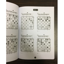Bir Hamlede Matlar (300 Satranç Problemi)