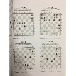 İki Hamlede Matlar (300 Satranç Problemi)