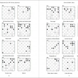Yeni Başlayanlar İçin 1001 Satranç Alıştırması