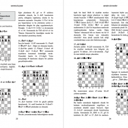 Satranç Dersleri 1-2-3  (3 cilt bir arada)