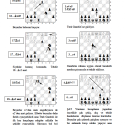 Satranç Açılışları - Türk Gambiti 