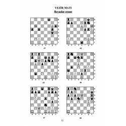 1 Hamlede Matlar (630 soru)