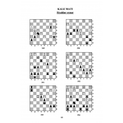 1 Hamlede Matlar (630 soru)