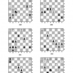 1 Hamlede Matlar (630 soru)