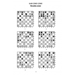 2 Hamlede Matlar (612 soru)