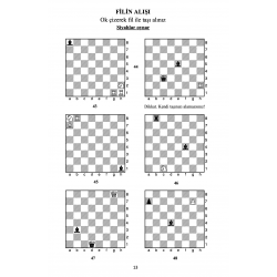 Alıştırmalarla Satranç 1 (578 Soru)