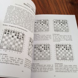 Çocuklar İçin Satranç Açılışları